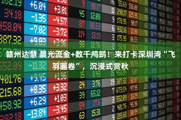 赣州达慧 晨光流金+数千鸬鹚！来打卡深圳湾“飞羽画卷”，沉浸式赏秋