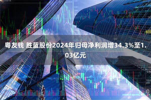 粤友钱 胜蓝股份2024年归母净利润增34.3%至1.03亿元